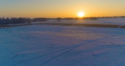 Aerial drone view of cold winter landscape with arctic field, trees covered with Stock Footage 119894776