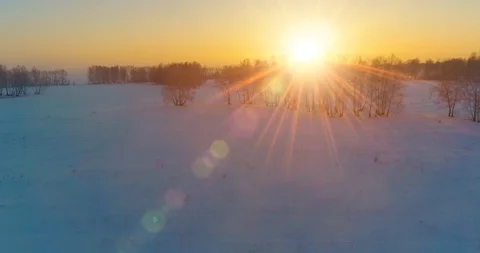 Aerial drone view of cold winter landscape with arctic field, trees covered with Stock Footage 119894802