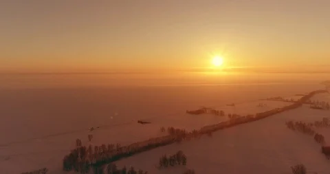 Aerial drone view of cold winter landscape with arctic field, trees covered with Stock Footage 119894821
