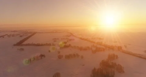 Aerial drone view of cold winter landscape with arctic field, trees covered with Stock Footage 119894863