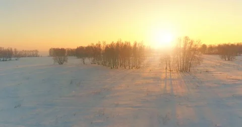 Aerial drone view of cold winter landscape with arctic field, trees covered with Video stock 119894930
