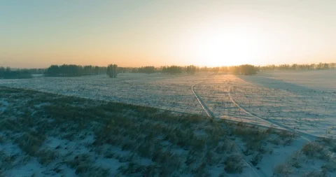 Aerial drone view of cold winter landscape with arctic field, trees covered with Stock Footage 119894932