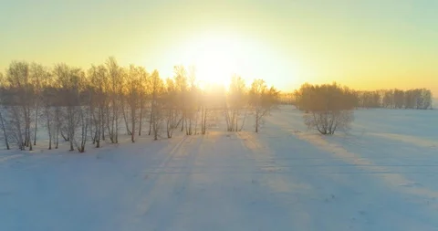 Aerial drone view of cold winter landscape with arctic field, trees covered with Stock Footage 119895000