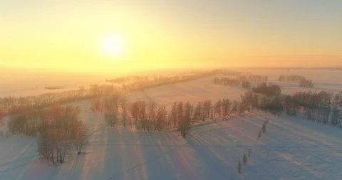 Aerial drone view of cold winter landscape with arctic field, trees covered with Stock Footage 119895103