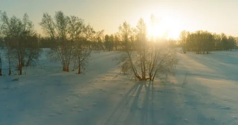 Aerial drone view of cold winter landscape with arctic field, trees covered with Stock Footage 119895153