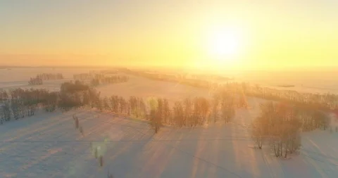 Aerial drone view of cold winter landscape with arctic field, trees covered with Video stock 119895175