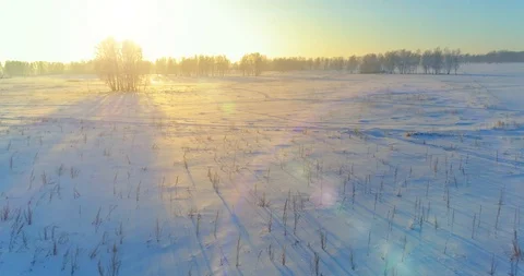 Aerial drone view of cold winter landscape with arctic field, trees covered with Stock Footage 119895270