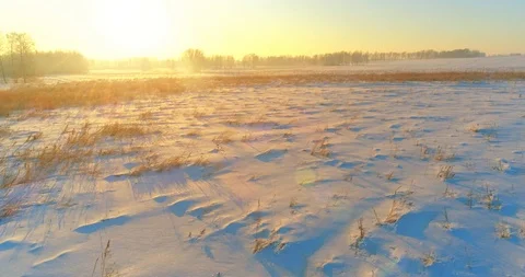 Aerial drone view of cold winter landscape with arctic field, trees covered with Stock Footage 119895307