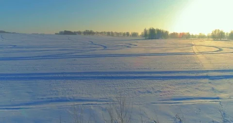 Aerial drone view of cold winter landscape with arctic field, trees covered with Stock Footage 119895394