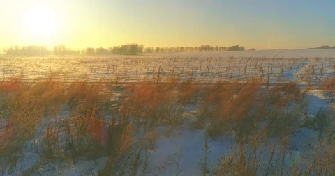 Aerial drone view of cold winter landscape with arctic field, trees covered with Stock Footage 119895426