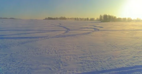 Aerial drone view of cold winter landscape with arctic field, trees covered with Vidéo 119895576