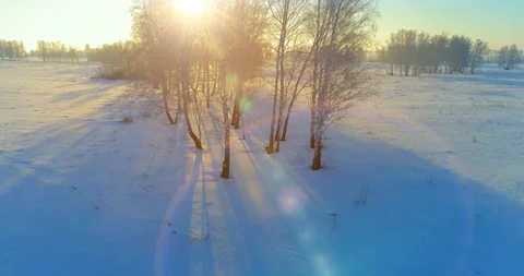Aerial drone view of cold winter landscape with arctic field, trees covered with Stock Footage 119895653