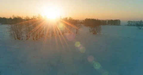 Aerial drone view of cold winter landscape with arctic field, trees covered with Stock Footage 127360149