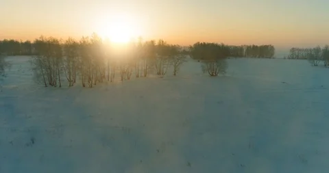 Aerial drone view of cold winter landscape with arctic field, trees covered with Stock Footage 127360343