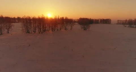 Aerial drone view of cold winter landscape with arctic field, trees covered with Stock Footage 127360543