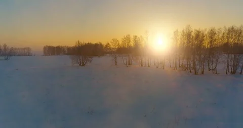 Aerial drone view of cold winter landscape with arctic field, trees covered with Stock Footage 127361989