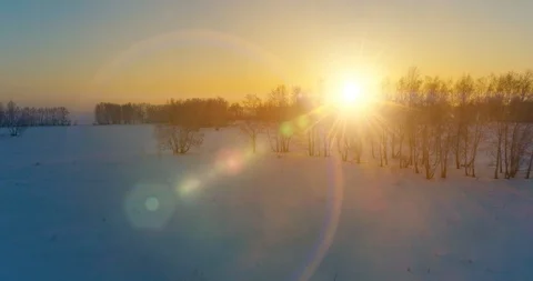 Aerial drone view of cold winter landscape with arctic field, trees covered with Stock Footage 127362442