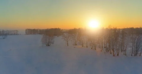 Aerial drone view of cold winter landscape with arctic field, trees covered with Stock Footage 127362960