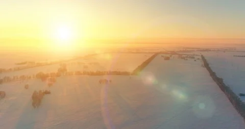 Aerial drone view of cold winter landscape with arctic field, trees covered with Stock Footage 127363498