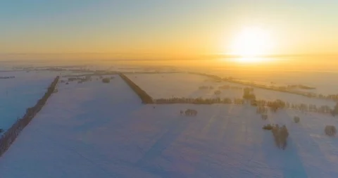 Aerial drone view of cold winter landscape with arctic field, trees covered with Stock Footage 127363715