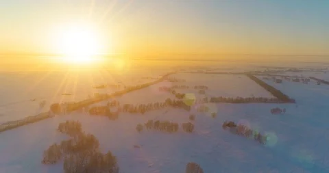 Aerial drone view of cold winter landscape with arctic field, trees covered with Stock Footage 127364191