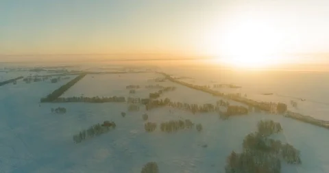 Aerial drone view of cold winter landscape with arctic field, trees covered with Stock Footage 127364278