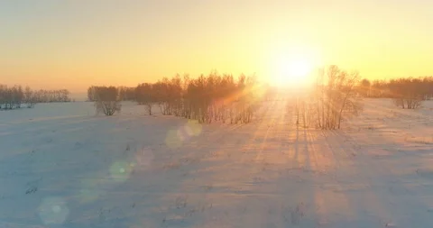 Aerial drone view of cold winter landscape with arctic field, trees covered with Stock Footage 127366227