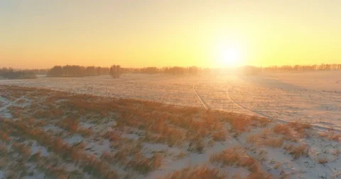 Aerial drone view of cold winter landscape with arctic field, trees covered with Stock Footage 127366624