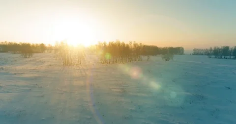 Aerial drone view of cold winter landscape with arctic field, trees covered with Stock Footage 127366781