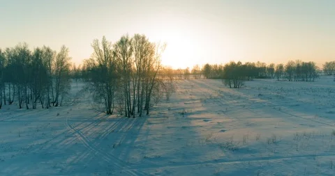 Aerial drone view of cold winter landscape with arctic field, trees covered with Vidéo 127367158