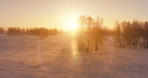 Aerial drone view of cold winter landscape with arctic field, trees covered with Stock Footage 127367776