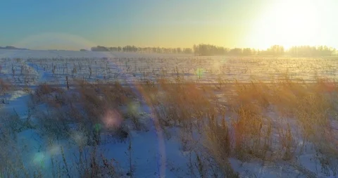 Aerial drone view of cold winter landscape with arctic field, trees covered with Stock Footage 127372595