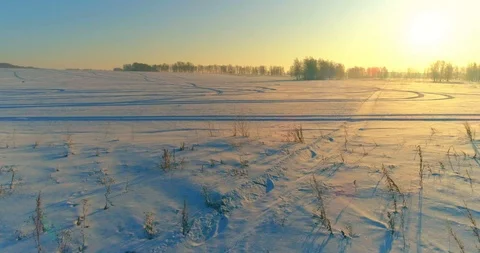 Aerial drone view of cold winter landscape with arctic field, trees covered with Stock Footage 127372700