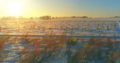Aerial drone view of cold winter landscape with arctic field, trees covered with Stock Footage 127372864