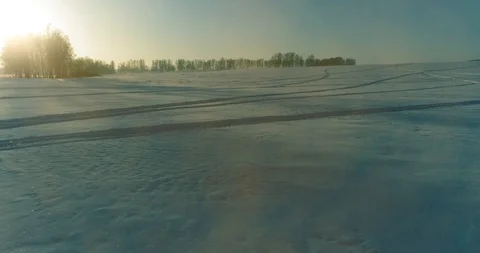 Aerial drone view of cold winter landscape with arctic field, trees covered with Stock Footage 127373401
