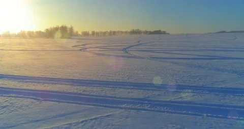 Aerial drone view of cold winter landscape with arctic field, trees covered with Stock Footage 127374037