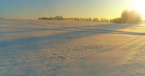 Aerial drone view of cold winter landscape with arctic field, trees covered with Stock Footage 127377686