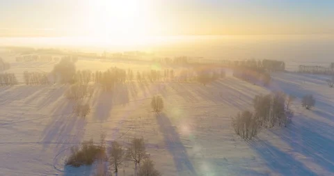 Aerial drone view of cold winter landscape with arctic field, trees covered with Stock Footage 127378420