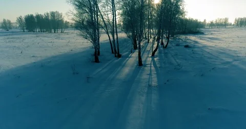Aerial drone view of cold winter landscape with arctic field, trees covered with Stock Footage 127378984
