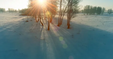 Aerial drone view of cold winter landscape with arctic field, trees covered with Stock Footage 127379217