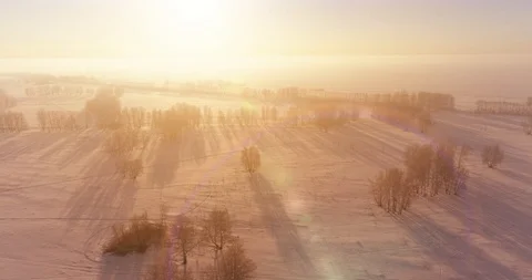 Aerial drone view of cold winter landscape with arctic field, trees covered with Stock Footage 127379509