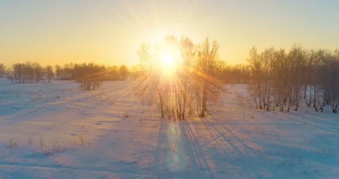 Aerial drone view of cold winter landscape with arctic field, trees covered with Stock Footage 127487492