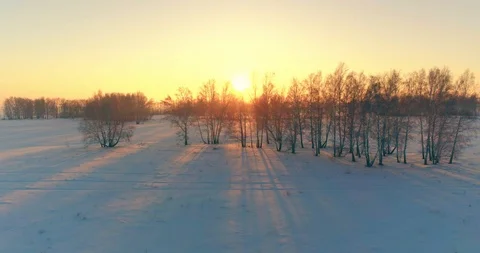 Aerial drone view of cold winter landscape with arctic field, trees covered with Stock Footage 127487584
