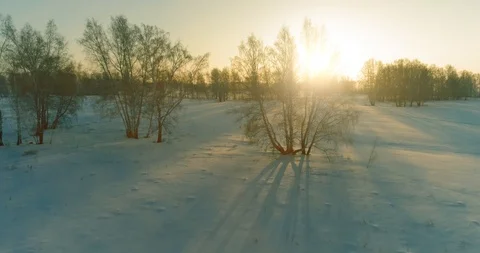 Aerial drone view of cold winter landscape with arctic field, trees covered with Stock Footage 127488205