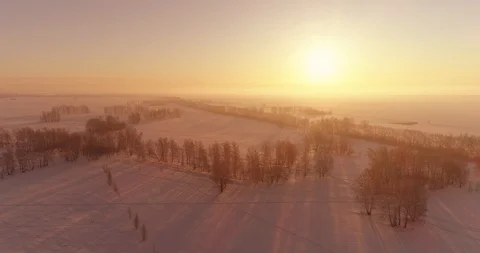 Aerial drone view of cold winter landscape with arctic field, trees covered with Stock Footage 127489022