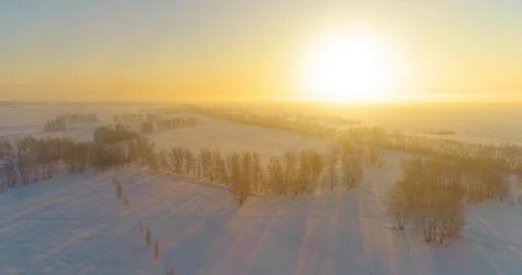 Aerial drone view of cold winter landscape with arctic field, trees covered with Stock Footage 127490132