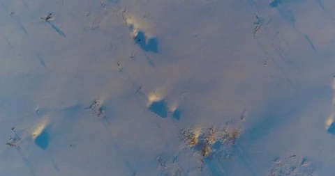 Aerial drone view of cold winter landscape with arctic field, trees covered with Stock Footage 127490449