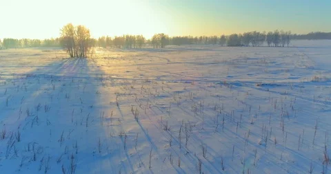 Aerial drone view of cold winter landscape with arctic field, trees covered with Stock Footage 127492297