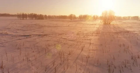 Aerial drone view of cold winter landscape with arctic field, trees covered with Stock Footage 127492940