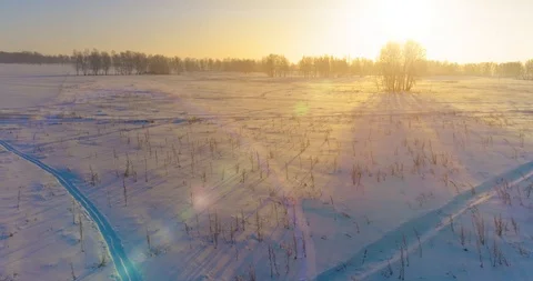 Aerial drone view of cold winter landscape with arctic field, trees covered with Stock Footage 127493448
